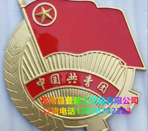 中國(guó)共青團(tuán)1